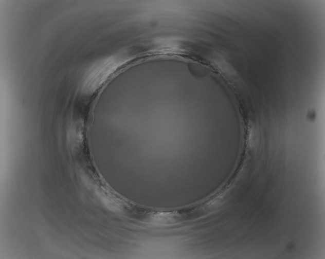 X0000116761161200912241136