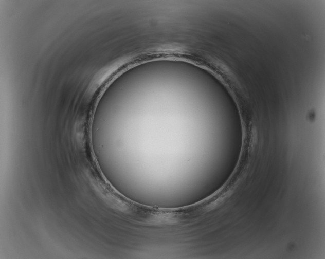 X0000116761162200912241136