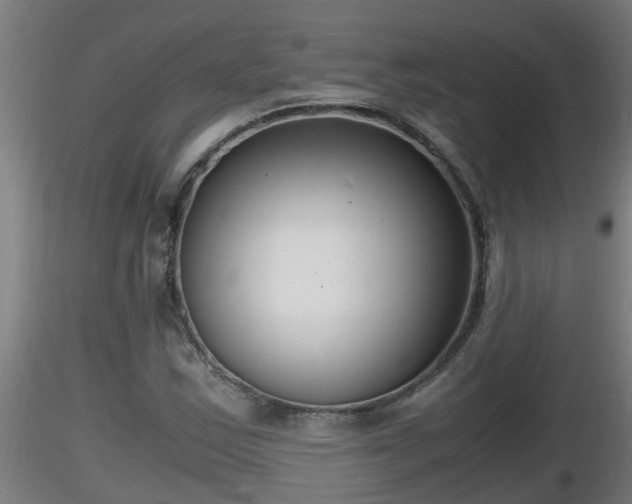 X0000116761163200912241136