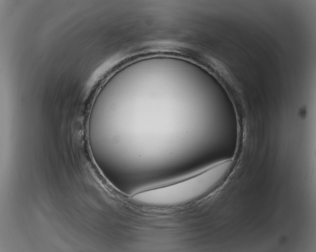 X0000116761164200912241136