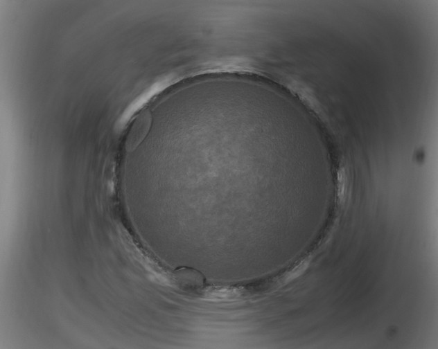 X0000116761165200912241136
