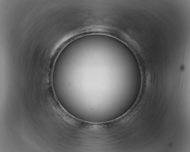 X0000116761166200912241136