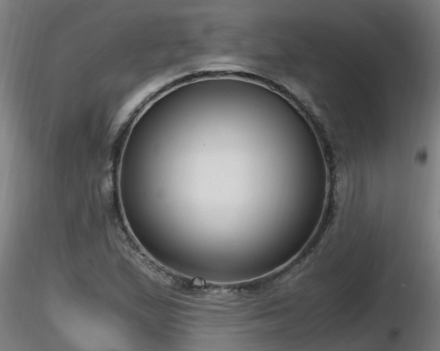 X0000116761167200912241136