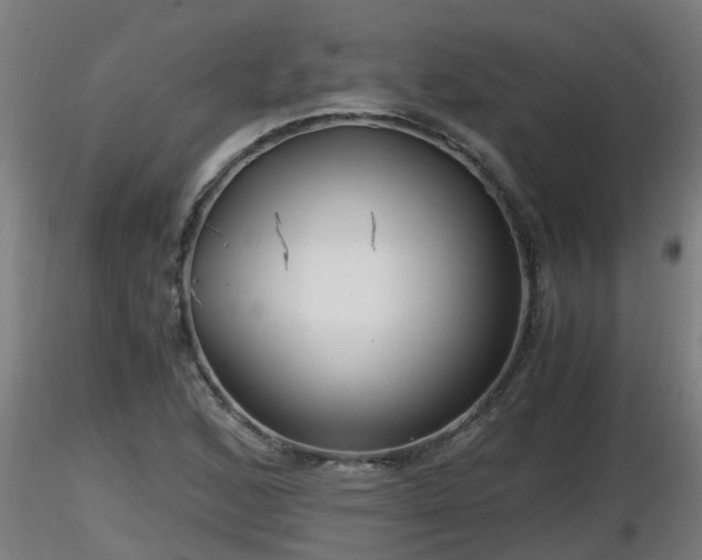 X0000116761168200912241136