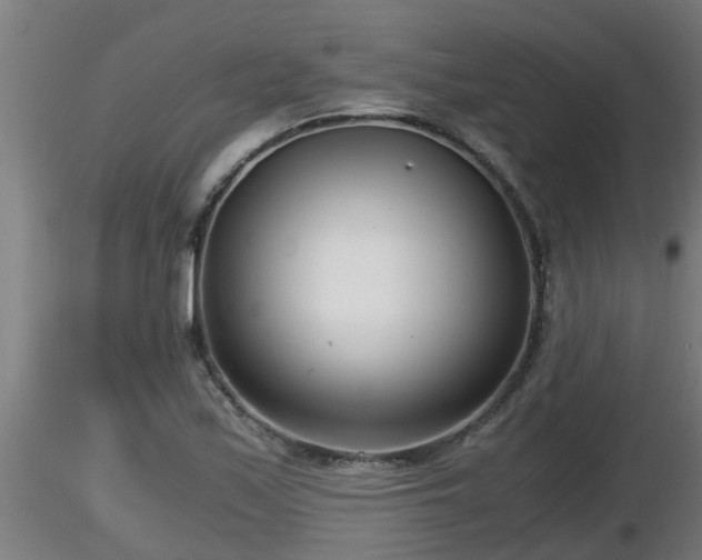 X0000116761171200912241136