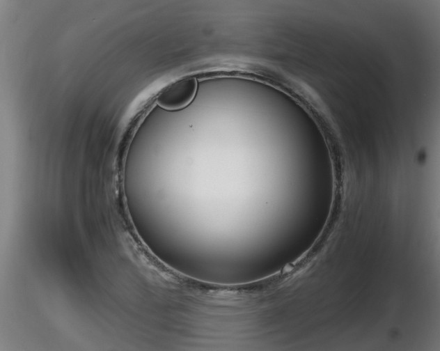 X0000116761172200912241136