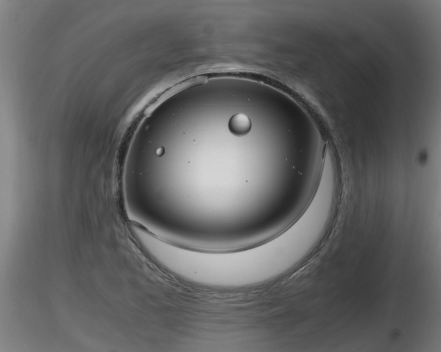X0000116761173200912241136