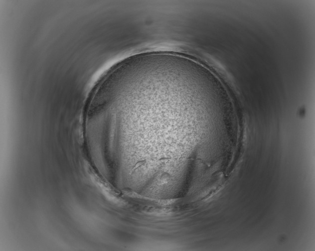 X0000116761174200912241136