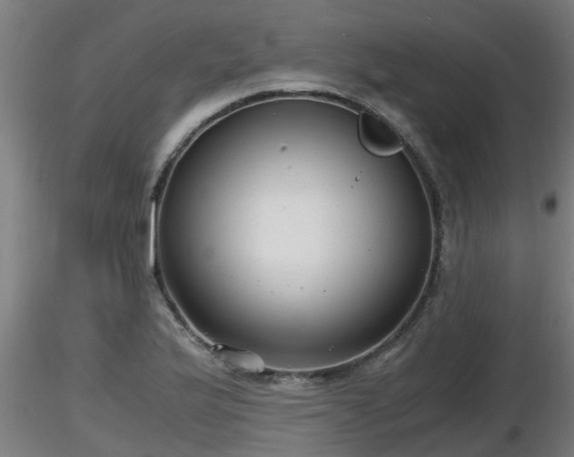 X0000116761175200912241136