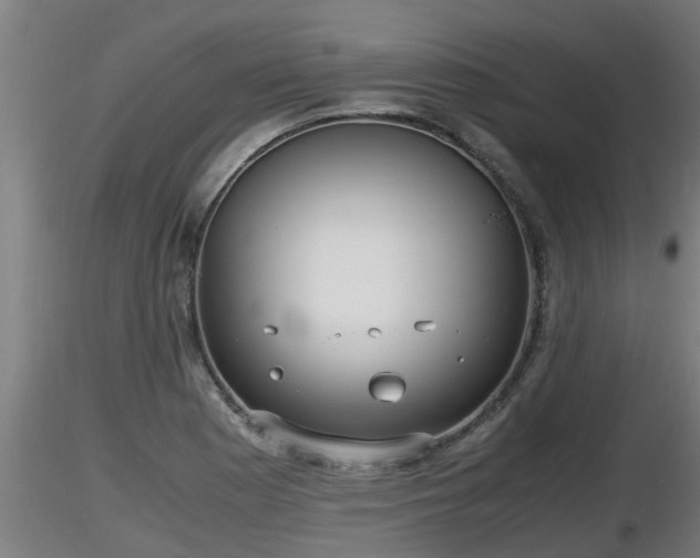 X0000116761177200912241136