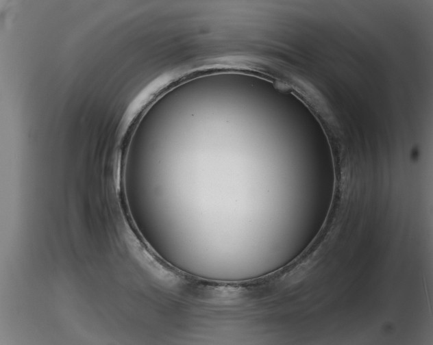 X0000116761180200912241136