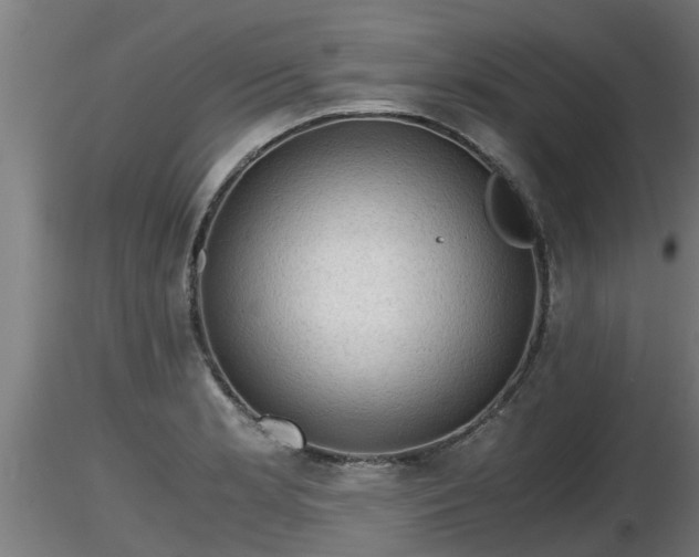 X0000116761181200912241136