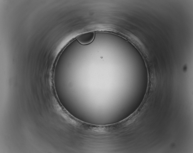X0000116761182200912241136