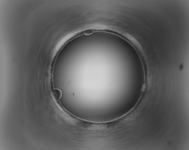 X0000116761183200912241136