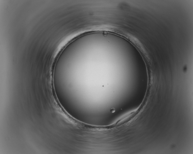 X0000116761184200912241136