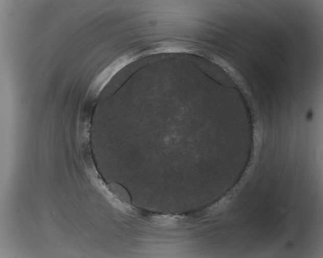 X0000116761185200912241136