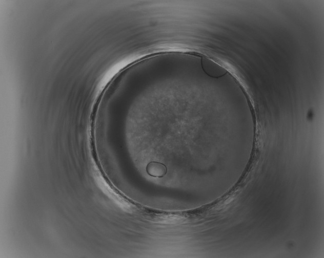 X0000116761187200912241136