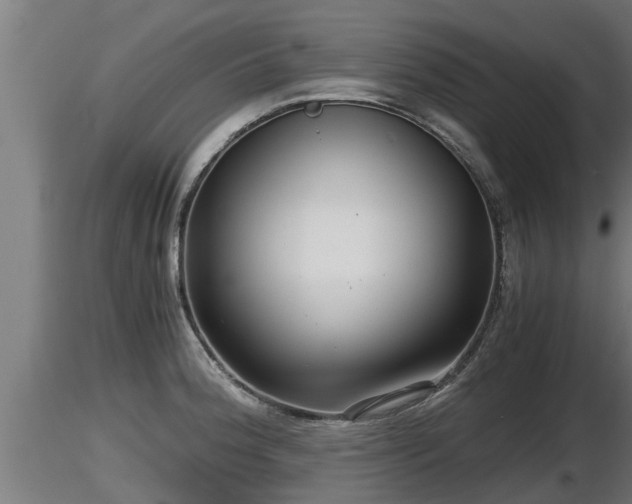 X0000116761188200912241136