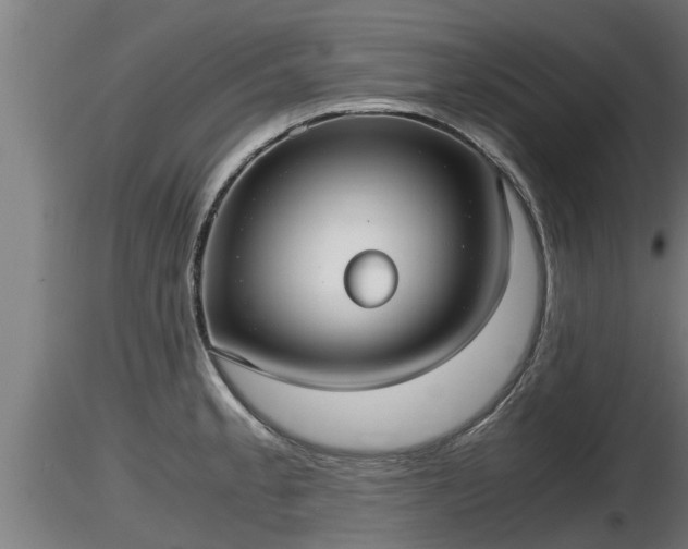 X0000116761189200912241136