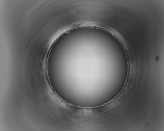 X0000116761190200912241136