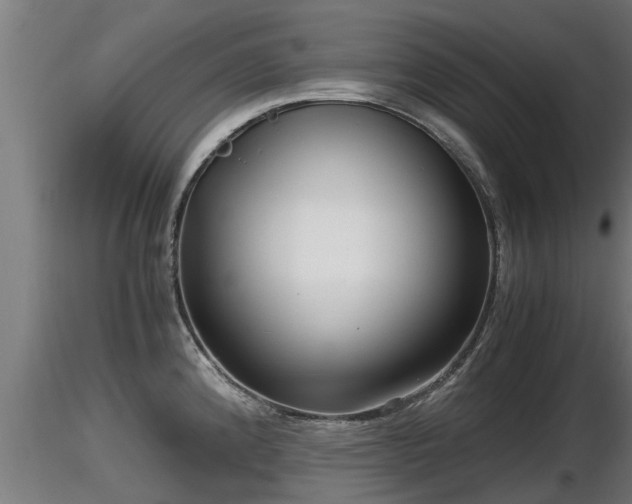 X0000116761192200912241136