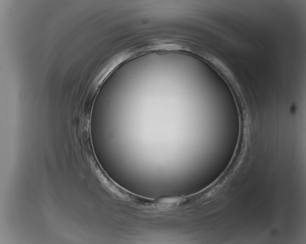 X0000116761193200912241136