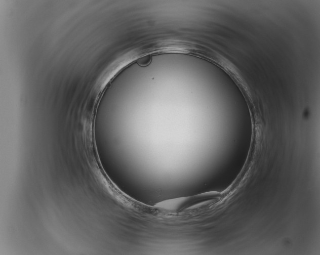X0000116761194200912241136