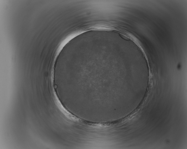 X0000116761195200912241136