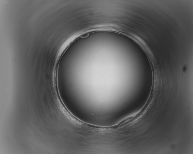 X0000116761196200912241136