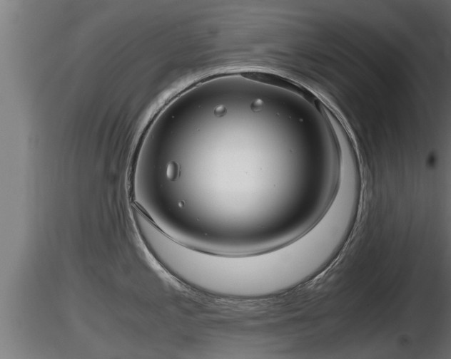 X0000116761197200912241136
