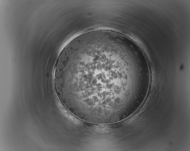 X0000116761198200912241136