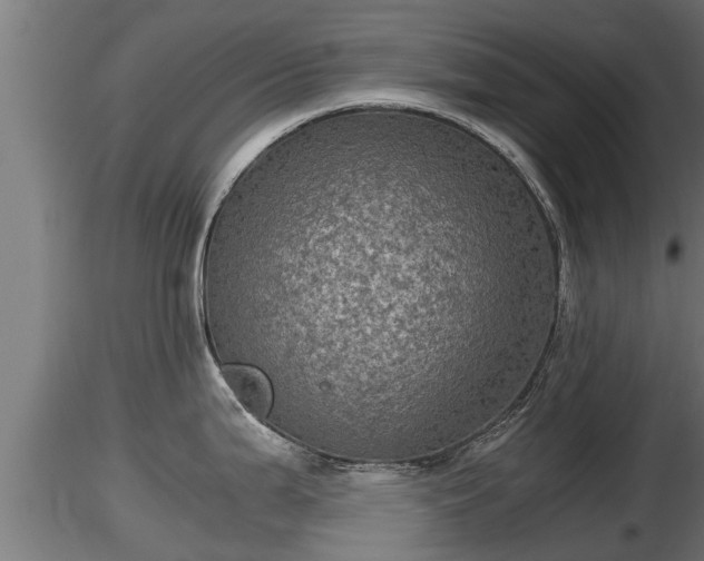 X0000116761199200912241136