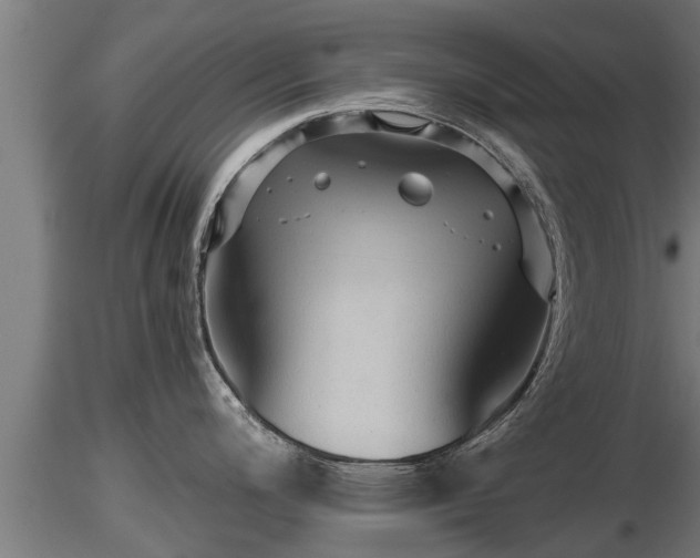X0000116761200200912241136
