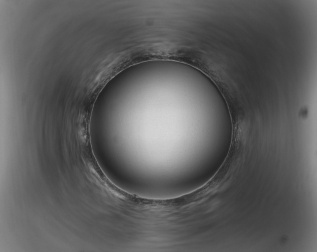 X0000116761202200912241135