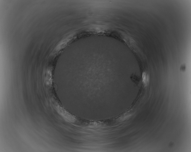 X0000116761203200912241135