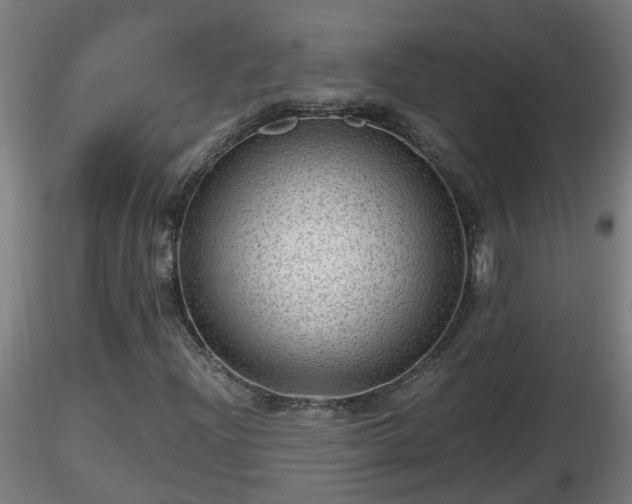 X0000116761204200912241135