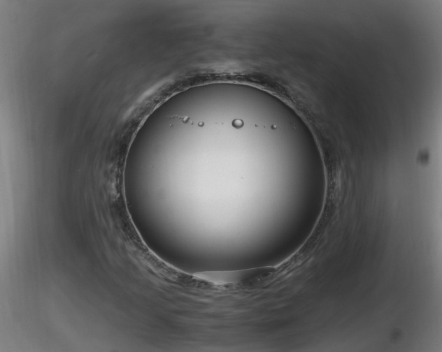 X0000116761205200912241135