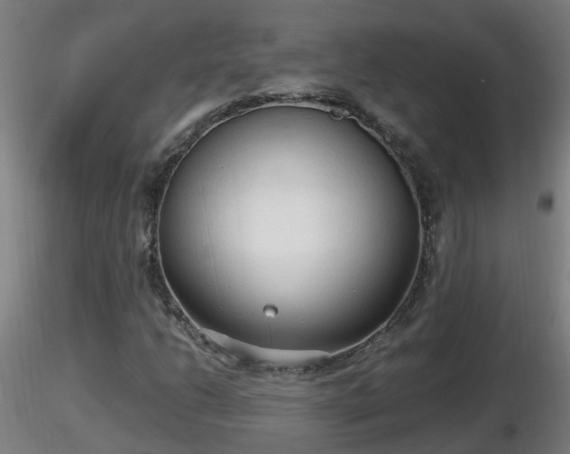X0000116761206200912241135
