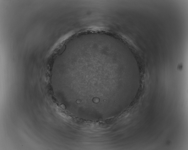 X0000116761207200912241135