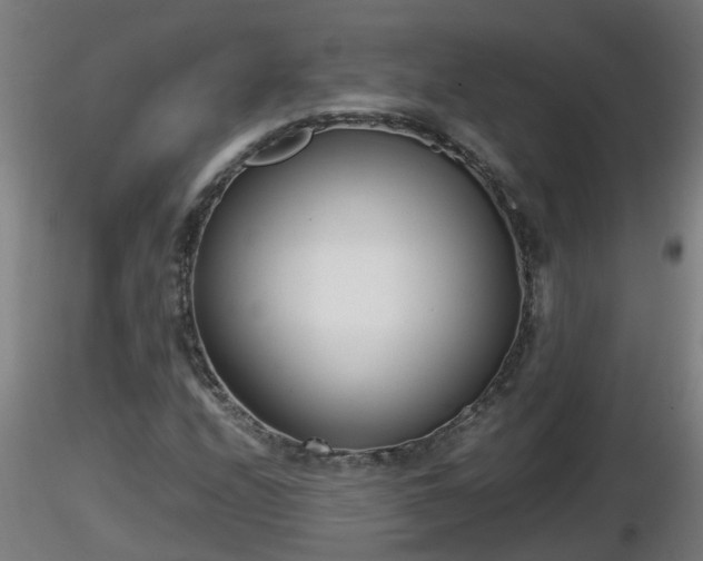 X0000116761208200912241135