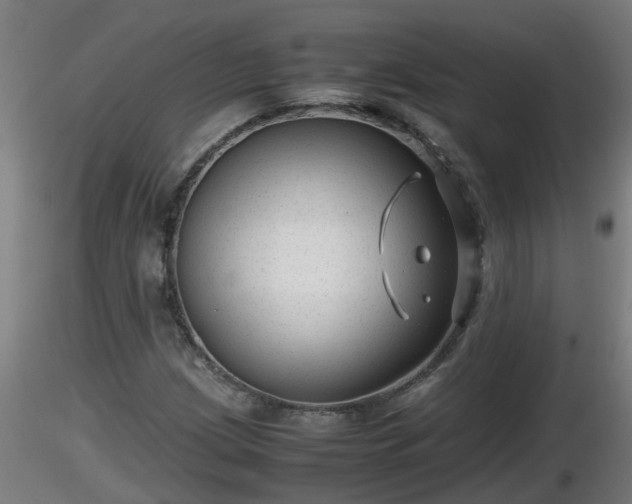 X0000116761209200912241135