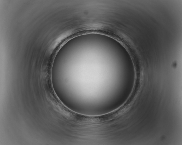 X0000116761210200912241135