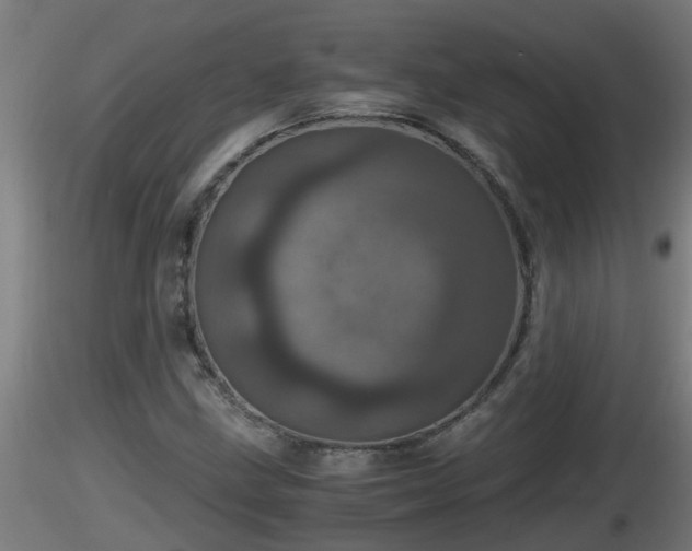 X0000116761211200912241135