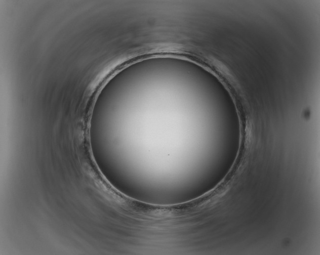 X0000116761212200912241135