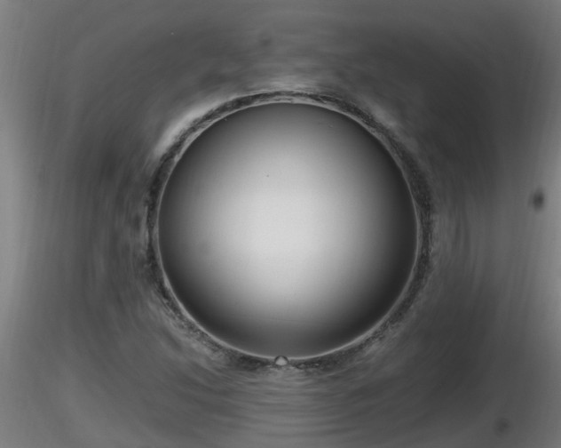 X0000116761214200912241135