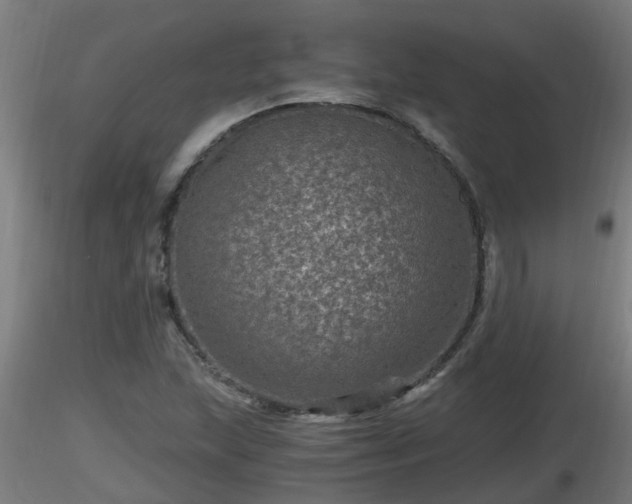 X0000116761215200912241135