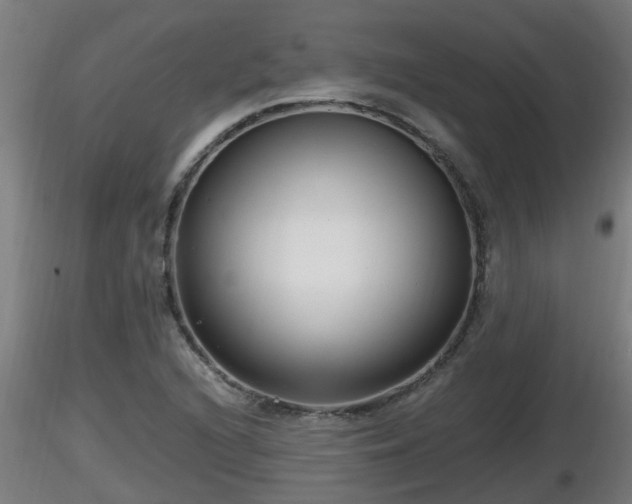 X0000116761216200912241135