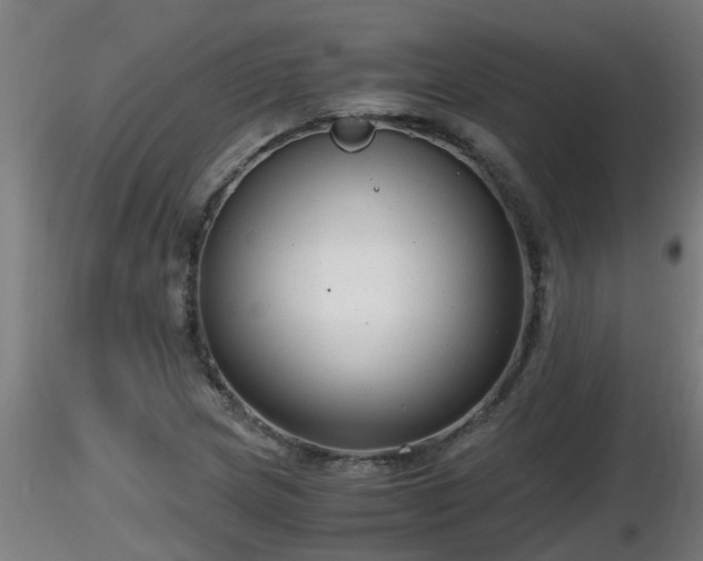 X0000116761217200912241135
