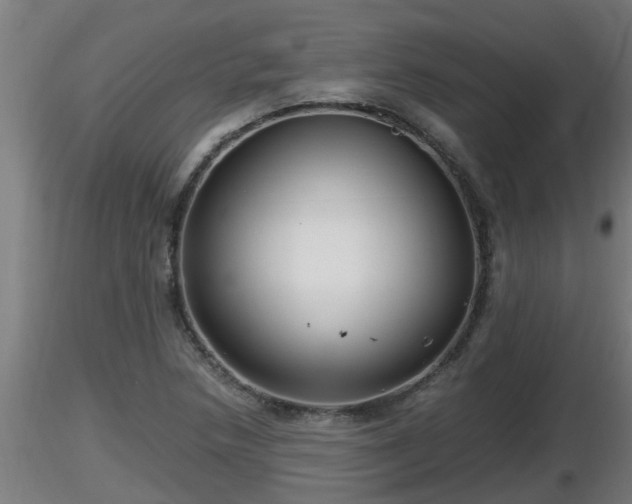 X0000116761218200912241135