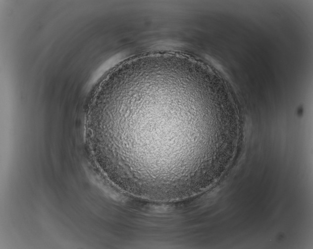 X0000116761219200912241135